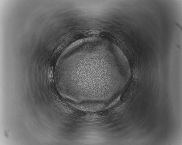 X0000102790818200809021112