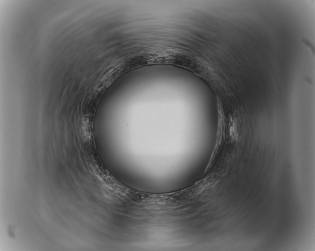 X0000102790819200809021112