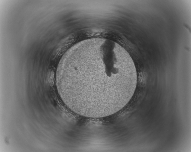 X0000102790820200809021112