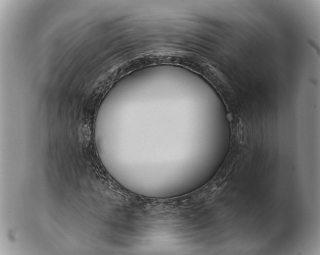 X0000102790821200809021112