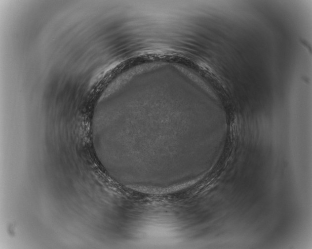 X0000102790822200809021112