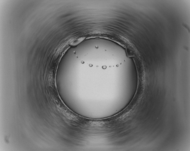 X0000102790825200809021112