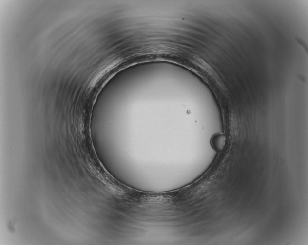 X0000102790826200809021112