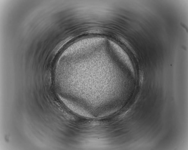 X0000102790829200809021112