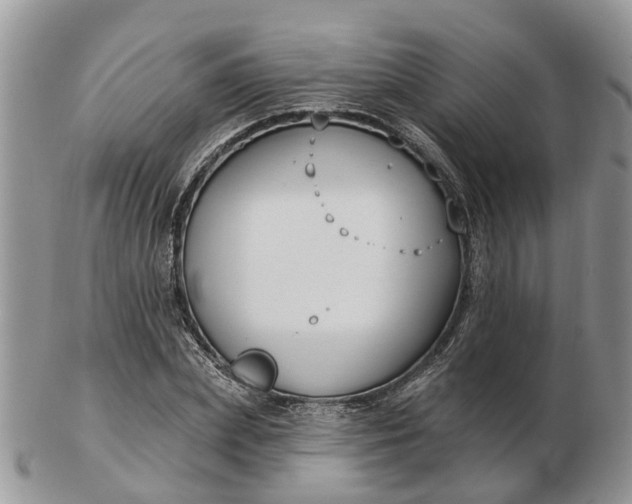 X0000102790831200809021112