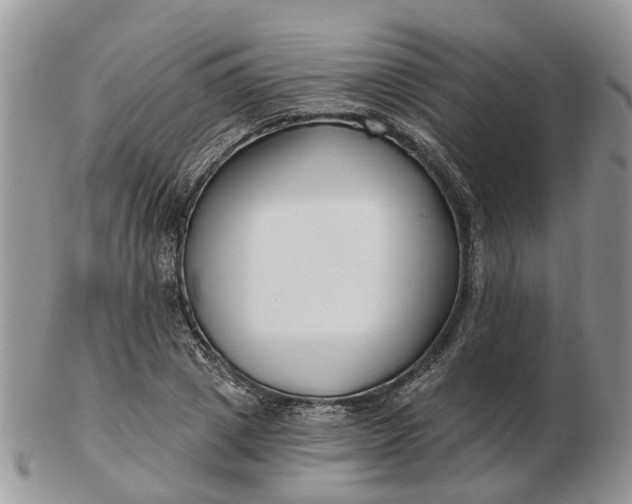 X0000102790833200809021113