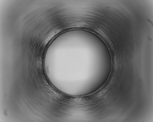 X0000102790834200809021113