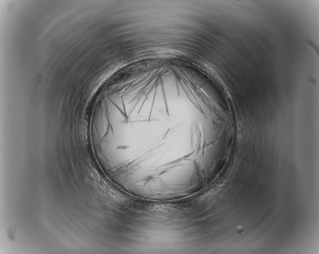 X0000102790835200809021113