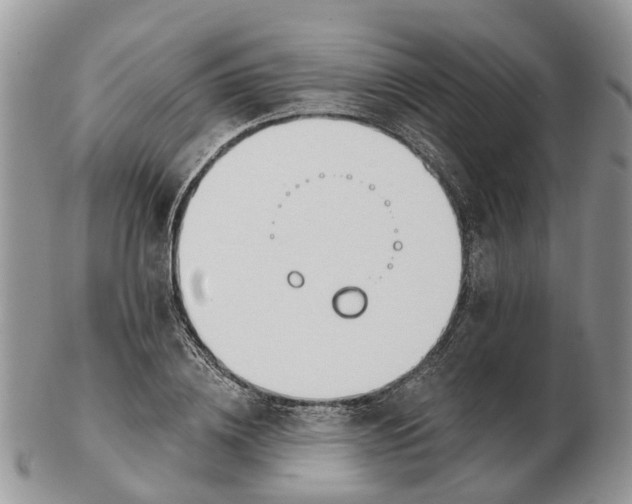 X0000102790836200809021113