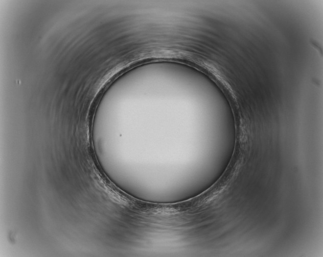 X0000102790837200809021113