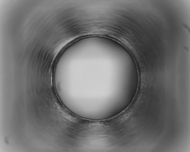 X0000102790838200809021113