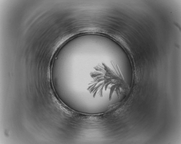 X0000102790839200809021113