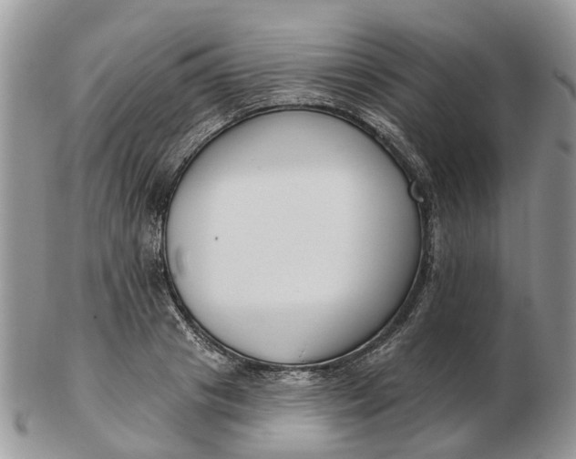 X0000102790841200809021113