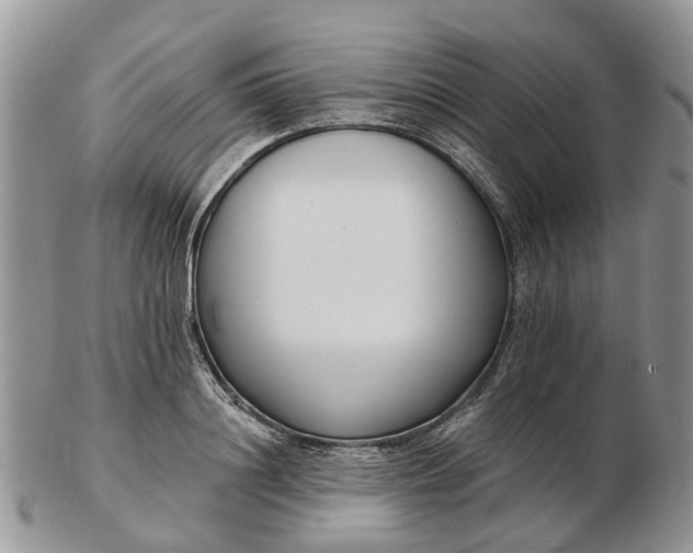 X0000102790844200809021113