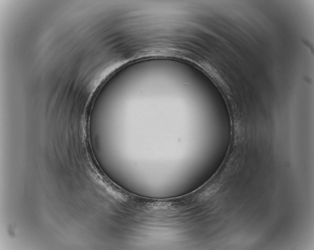 X0000102790846200809021113