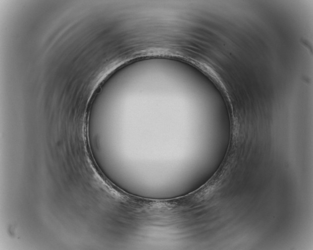 X0000102790847200809021113