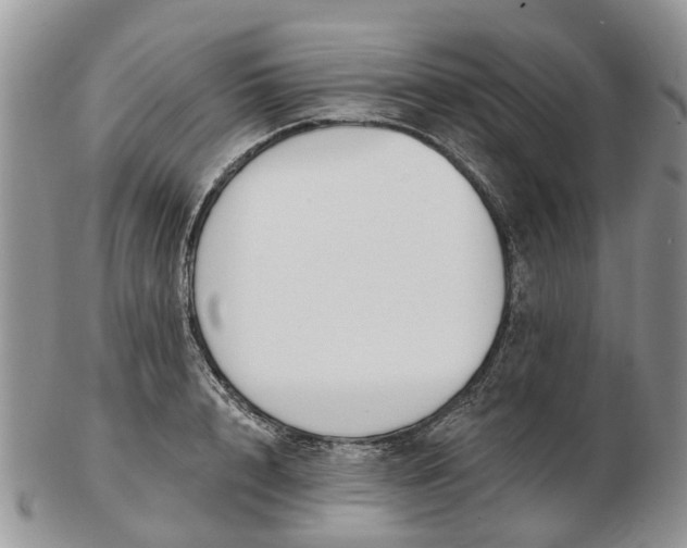 X0000102790848200809021113