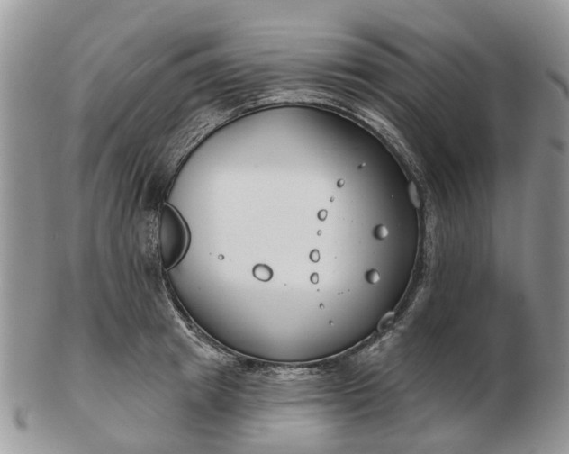 X0000102790849200809021113