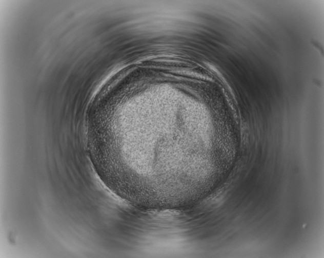 X0000102790851200809021113