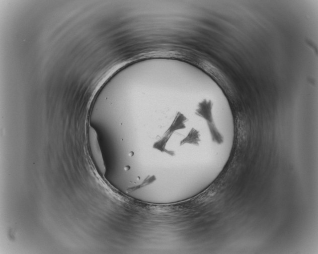 X0000102790852200809021113