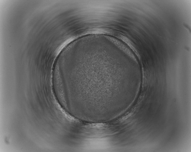 X0000102790853200809021113