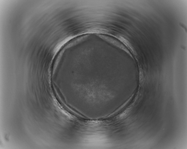 X0000102790854200809021113