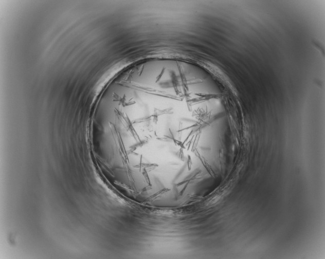 X0000102790855200809021113