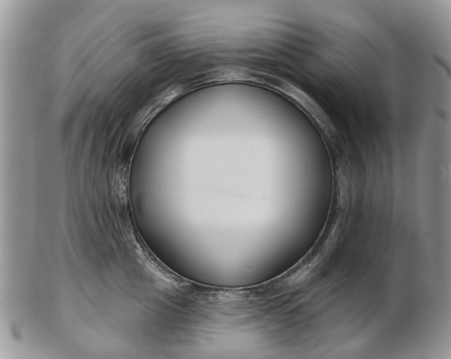 X0000102790857200809021113