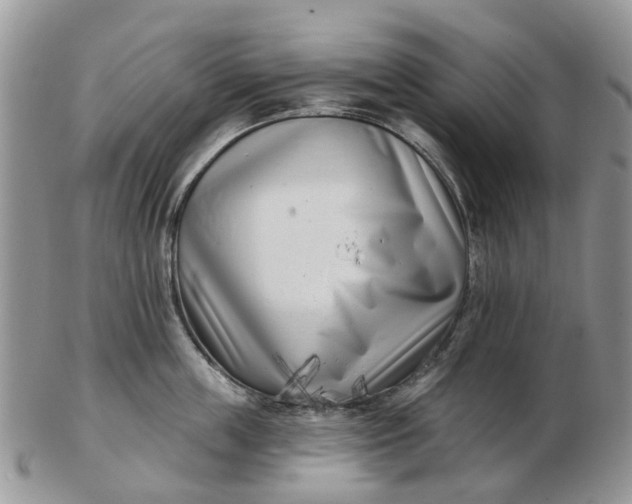 X0000102790859200809021113