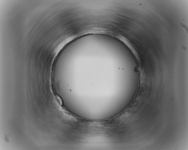 X0000102790861200809021113