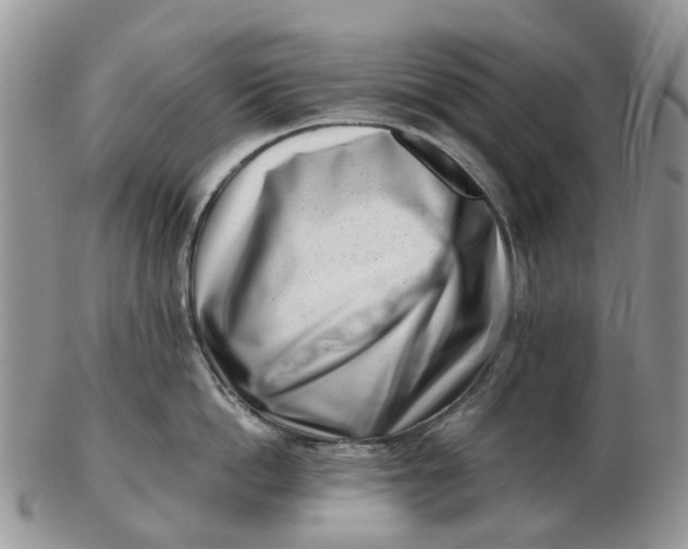 X0000102790862200809021113