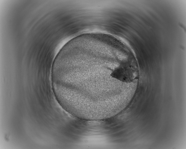 X0000102790863200809021113