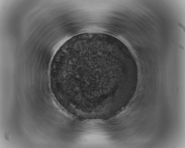 X0000102790864200809021113