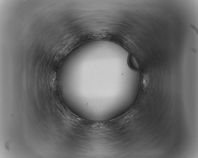 X0000102790867200809021112