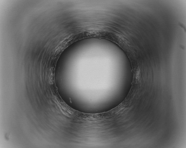 X0000102790868200809021112