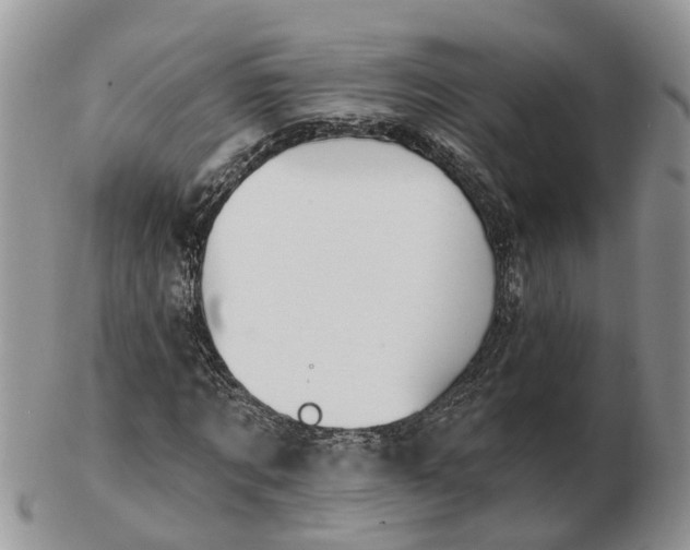 X0000102790869200809021112