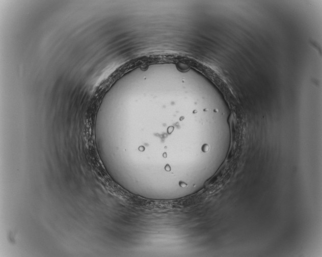 X0000102790871200809021112