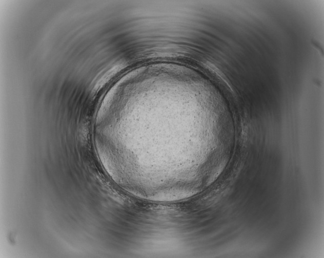 X0000102790874200809021112