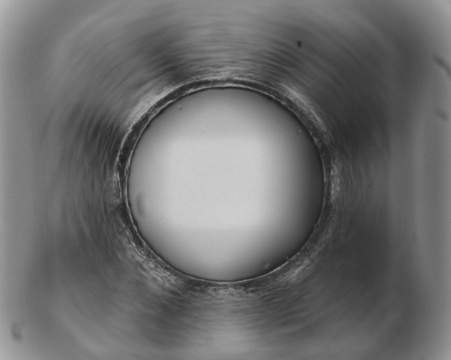 X0000102790876200809021112