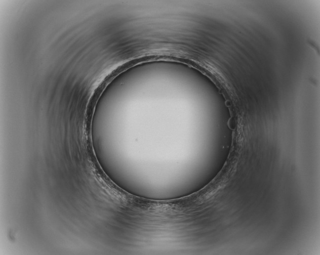 X0000102790880200809021112