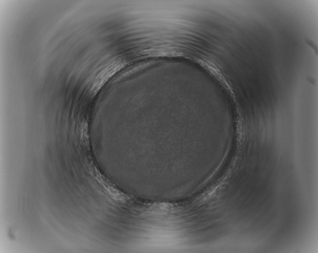 X0000102790881200809021112