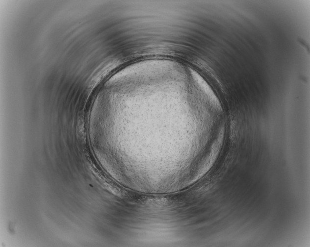 X0000102790882200809021112