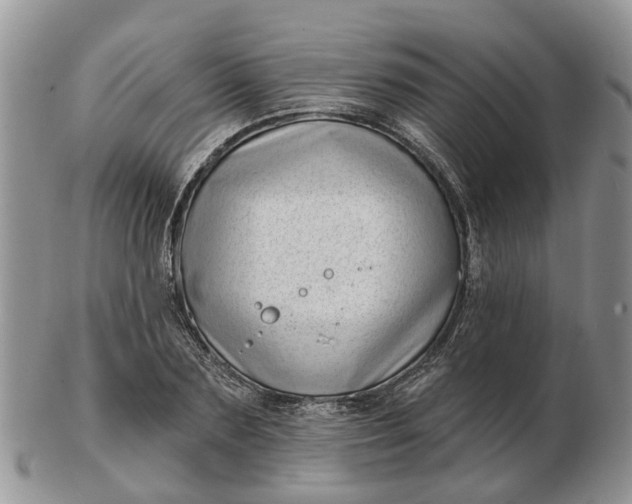 X0000102790883200809021112