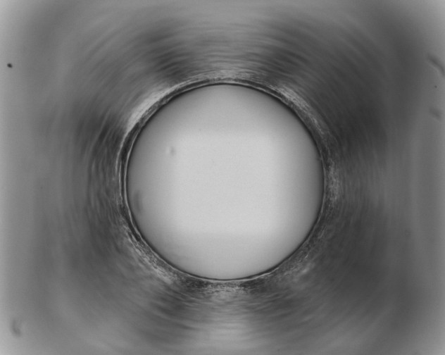 X0000102790886200809021112