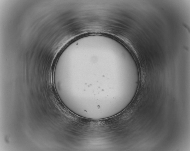 X0000102790887200809021112