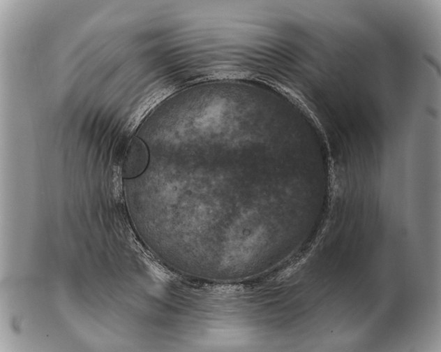 X0000102790889200809021112