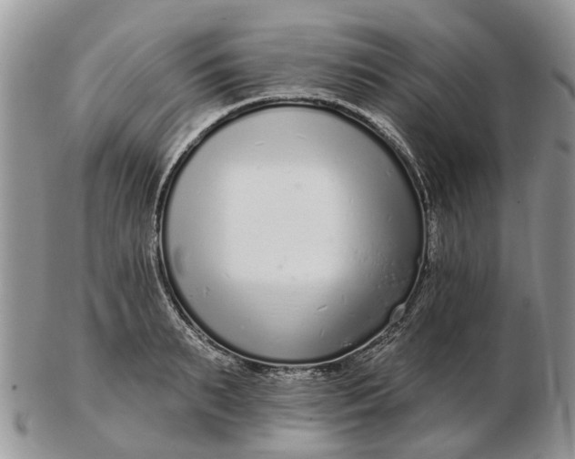 X0000102790895200809021112