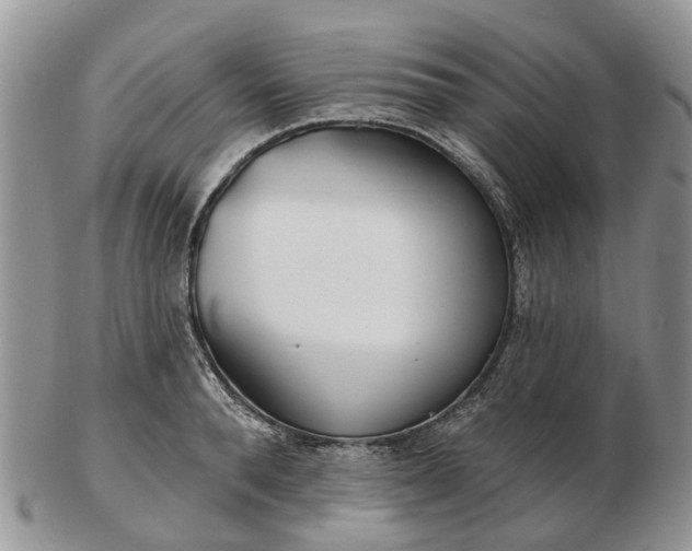 X0000102790896200809021112