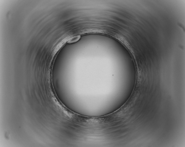 X0000102790898200809021112