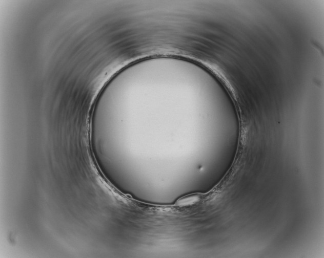 X0000102790903200809021112